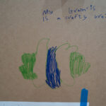 A-maze-ing Brain! showphase 41