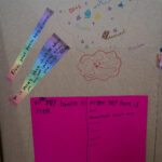 A-maze-ing Brain! showphase 48